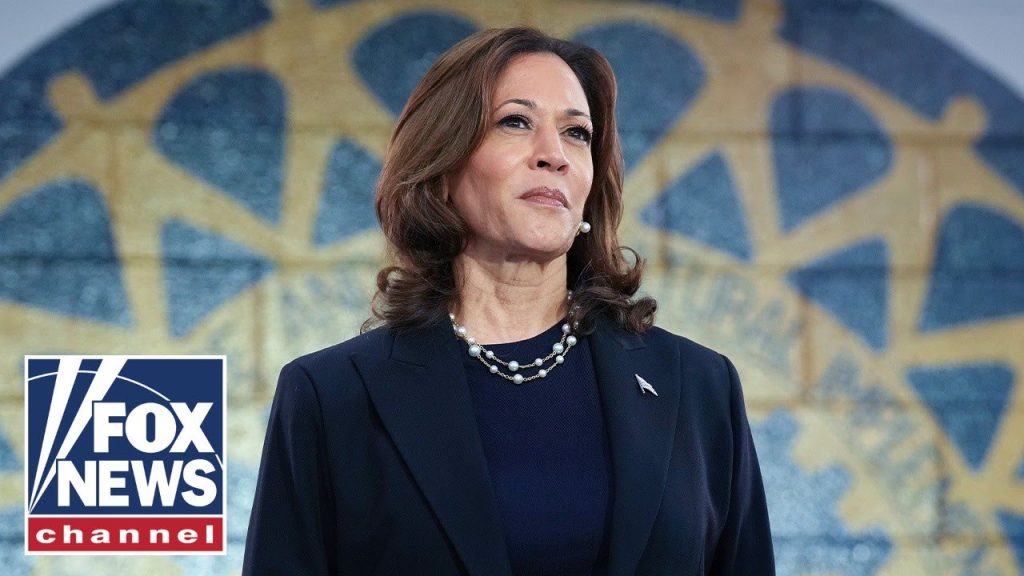 ‘COPYCAT KAMALA’: Harris rips off one of Trump’s campaign proposals