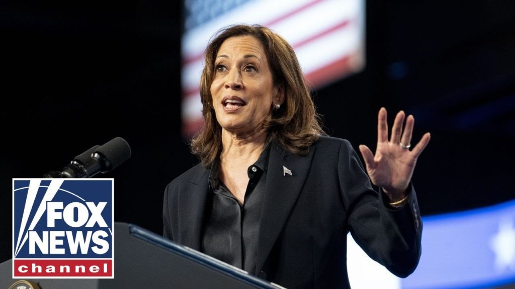 Dem fundraiser RIPS party’s Kamala Harris ‘delusions’: ‘Not what America wants’